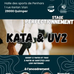 Stage Préparation Kata et UV2 1er au 4ème Dan